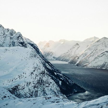 Unik Leilighet I Alesund Sentrum Exterior photo
